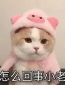 pt电玩娱乐网站 横山裕Johnnys netより「横野は仲の良いNMBメンバーを連れてジャニーズJr.たちと飲み会を開くこともあり、『あの人がカッコよかった』などと人目も憚らずに大声ではしゃいでいます