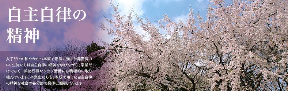 葡萄京官方官站会员登录